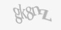 Захисний код