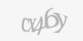Захисний код
