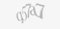 Захисний код