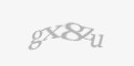 Захисний код