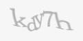 Захисний код
