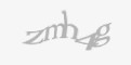 Захисний код
