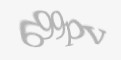 Захисний код